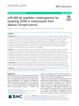 Mir-380-3P Regulates Melanogenesis by Targeting SOX6 in Melanocytes