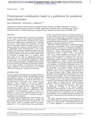 Chromosomal Condensation Leads to a Preference for Peripheral Heterochromatin Quinn Macpherson 1 and Andrew J