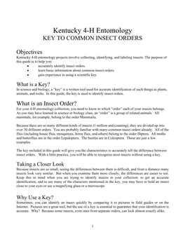 Kentucky 4-H Insect Order Key