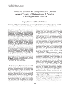 Protective Effect of the Energy Precursor Creatine Against Toxicity of Glutamate and ␤-Amyloid in Rat Hippocampal Neurons