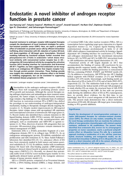 Endostatin: a Novel Inhibitor of Androgen Receptor Function in Prostate Cancer