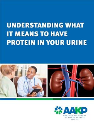 Understanding What It Means to Have Protein in Your Urine Understanding What It Means to Have Protein in Your Urine