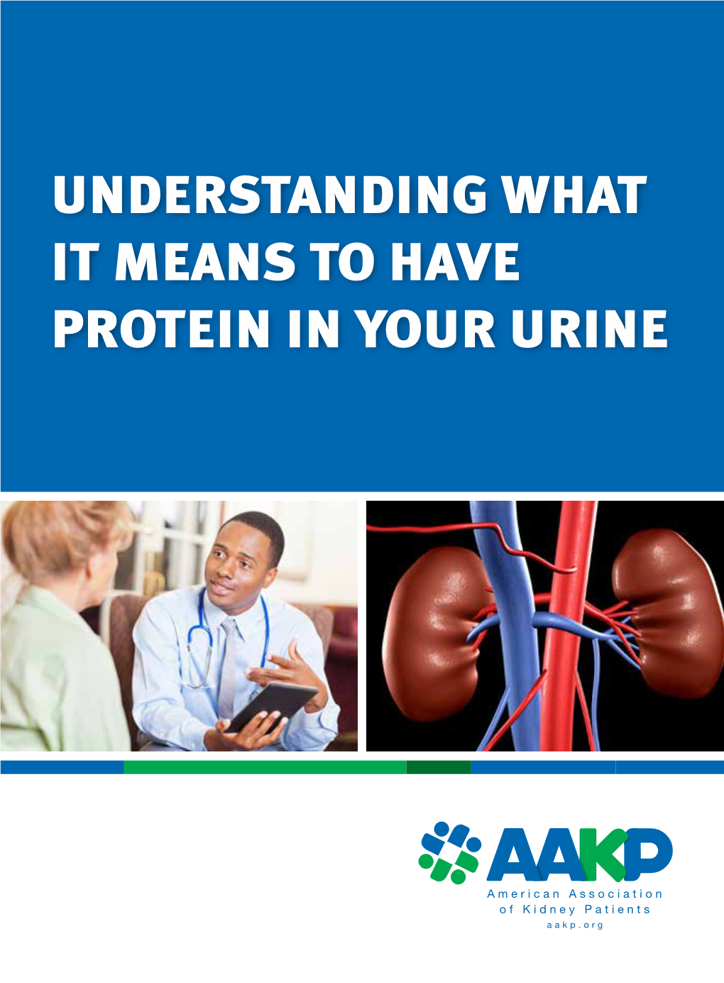 Understanding What It Means To Have Protein In Your Urine Understanding What It Means To Have 0889