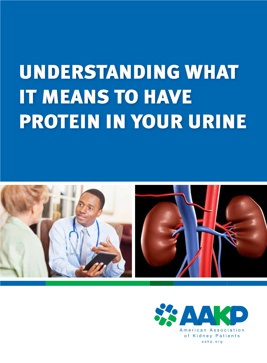 Understanding What It Means to Have Protein in Your Urine Understanding ...