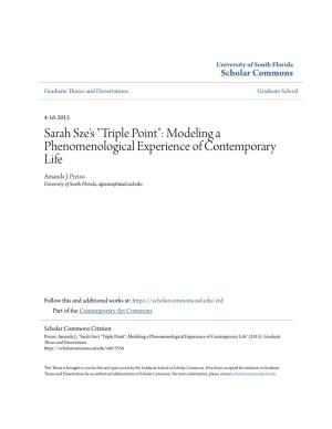 Sarah Sze's "Triple Point": Modeling a Phenomenological Experience of Contemporary Life Amanda J