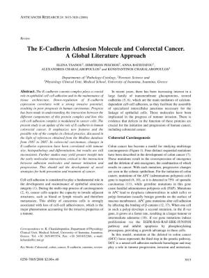 The E-Cadherin Adhesion Molecule and Colorectal Cancer. a Global