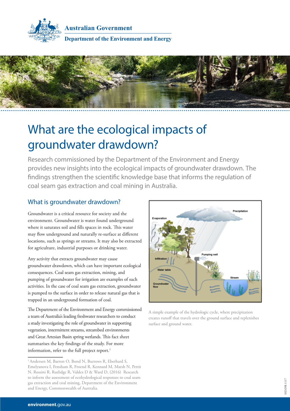 What Are the Ecological Impacts of Groundwater Drawdown?