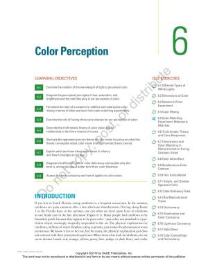 Color Perception 6