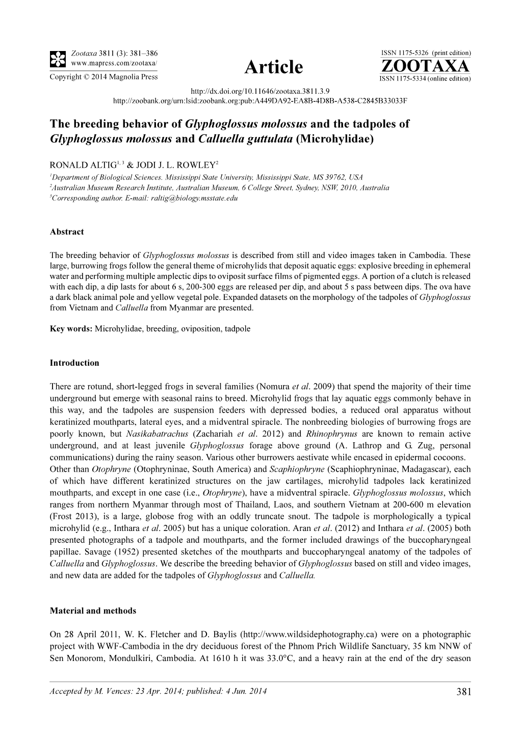 The Breeding Behavior of Glyphoglossus Molossus and the Tadpoles of Glyphoglossus Molossus and Calluella Guttulata (Microhylidae)