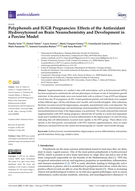 Polyphenols and IUGR Pregnancies: Effects of the Antioxidant Hydroxytyrosol on Brain Neurochemistry and Development in a Porcine Model
