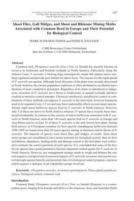 Shoot Flies, Gall Midges, and Shoot and Rhizome Mining Moths Associated with Common Reed in Europe and Their Potential for Biological Control