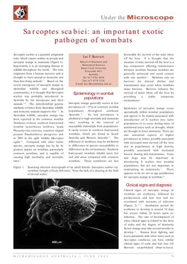 Sarcoptes Scabiei: an Important Exotic Pathogen of Wombats