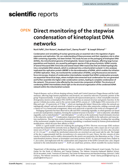 Direct Monitoring of the Stepwise Condensation of Kinetoplast DNA Networks Nurit Yafe1, Dvir Rotem2, Awakash Soni1, Danny Porath2* & Joseph Shlomai1*