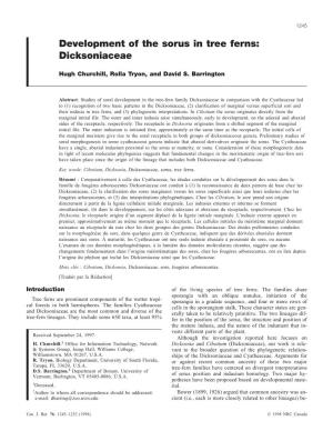 Development of the Sorus in Tree Ferns: Dicksoniaceae