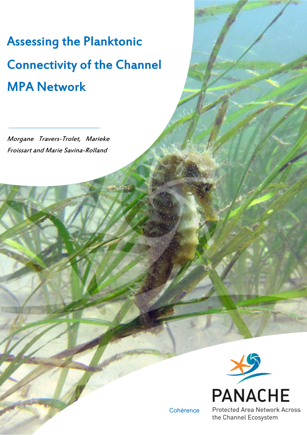 Assessing the Planktonic Connectivity of the Channel MPA Network Coherence