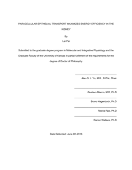 Paracellular Epithelial Transport Maximizes Energy Efficiency in The