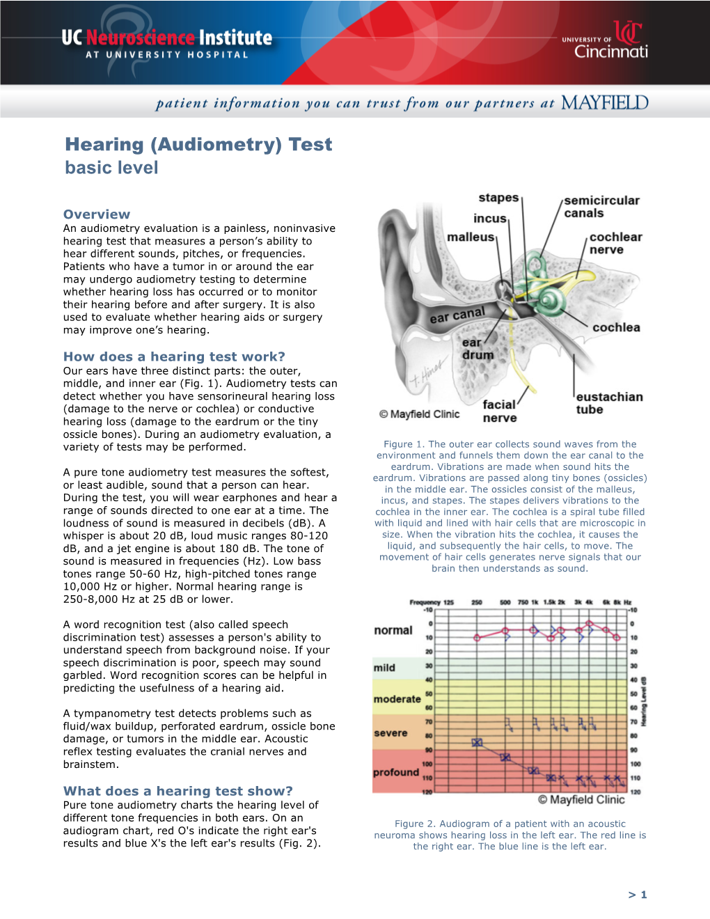 Hearing (Audiometry) Test Basic Level