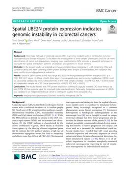 Spatial UBE2N Protein Expression Indicates Genomic Instability In