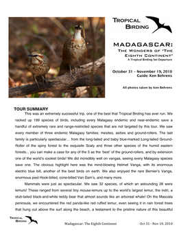 MADAGASCAR: the Wonders of ‘The Eighth Continent’ a Tropical Birding Set Departure