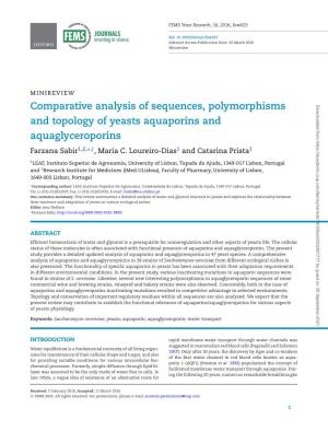 Comparative Analysis of Sequences, Polymorphisms and Topology of Yeasts Aquaporins and Aquaglyceroporins