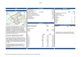 Larbert Settlement Profile 2020