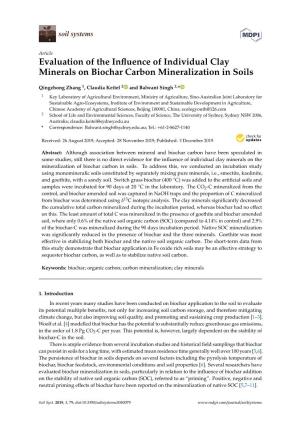 Evaluation of the Influence of Individual Clay Minerals on Biochar