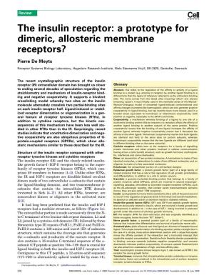 The Insulin Receptor: a Prototype for Dimeric, Allosteric Membrane Receptors?