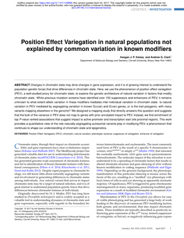 Position Effect Variegation in Natural Populations Not Explained by Common Variation in Known Modiﬁers