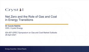 Net Zero and the Role of Gas and Coal in Energy Transitions