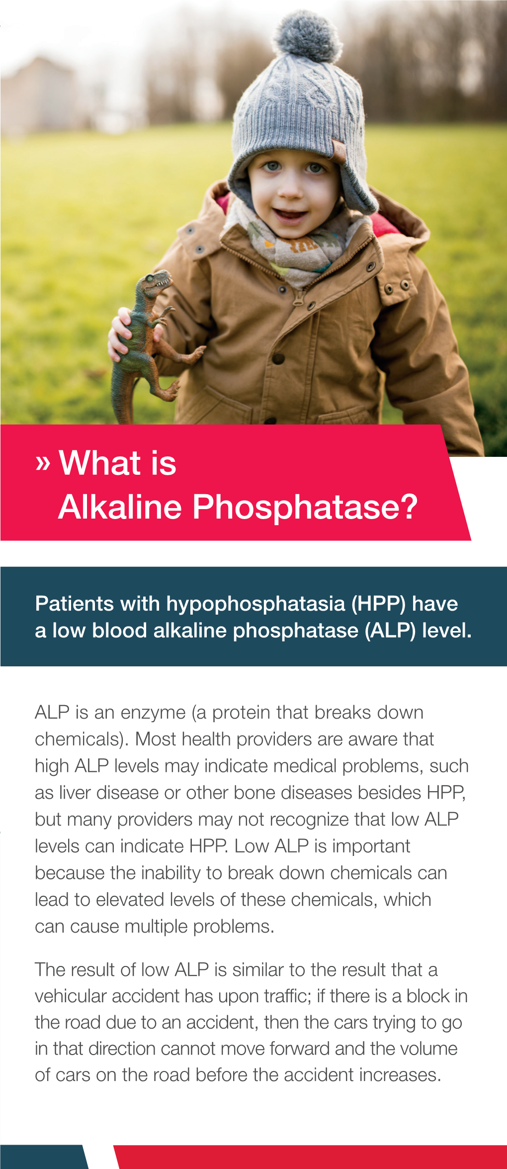 What Is Alkaline Phosphatase? What Are the Symptoms of Low ALP?