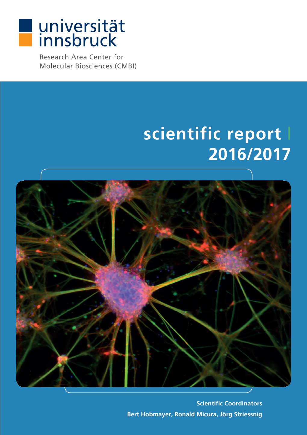 Scientific Report | 2016/2017