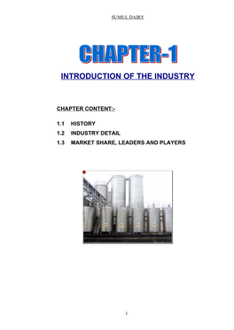 Introduction of the Industry