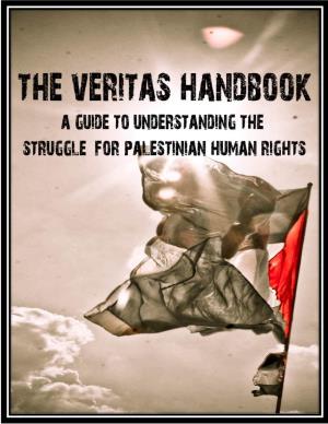 A Guide to Understanding the Struggle for Palestinian Human Rights