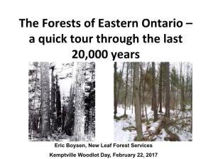 Our Changing Landscape: Historical and Current Forest Cover in SD&G