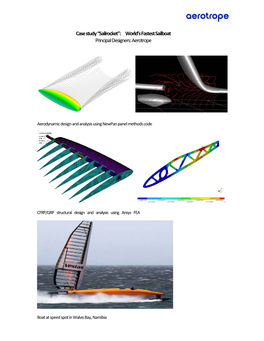 Case Study “Sailrocket”: World's Fastest Sailboat Principal Designers: Aerotrope