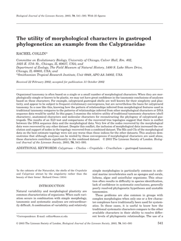 The Utility of Morphological Characters in Gastropod Phylogenetics: an Example from the Calyptraeidae