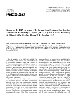 Report on the 2015 Workshop of the International Research