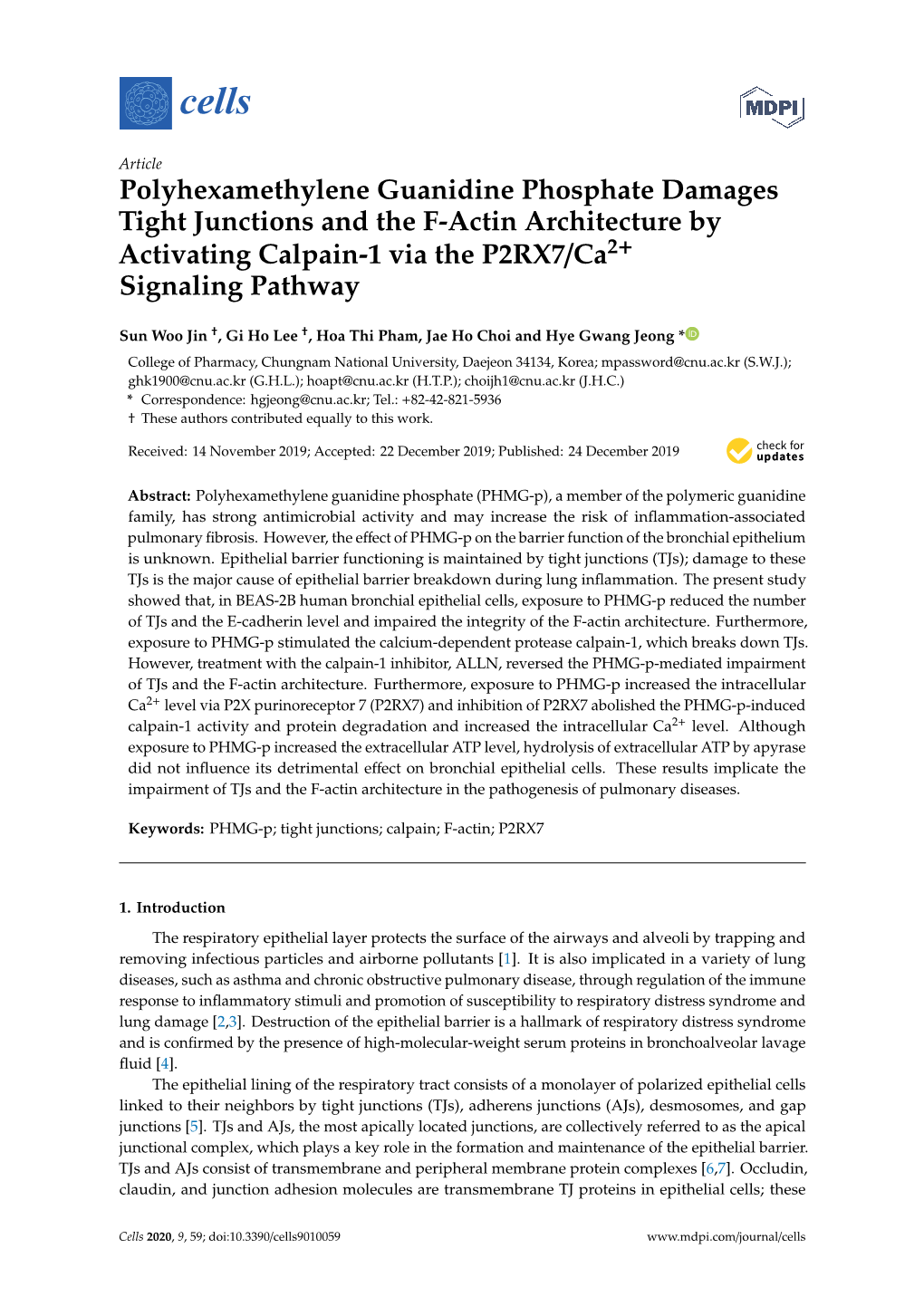 Polyhexamethylene Guanidine Phosphate Damages Tight Junctions and the F-Actin Architecture by Activating Calpain-1 Via the P2RX7/Ca2+ Signaling Pathway