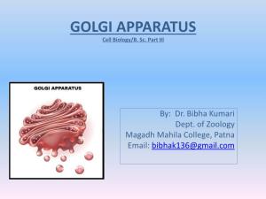 Golgi-Apparatus.Pdf