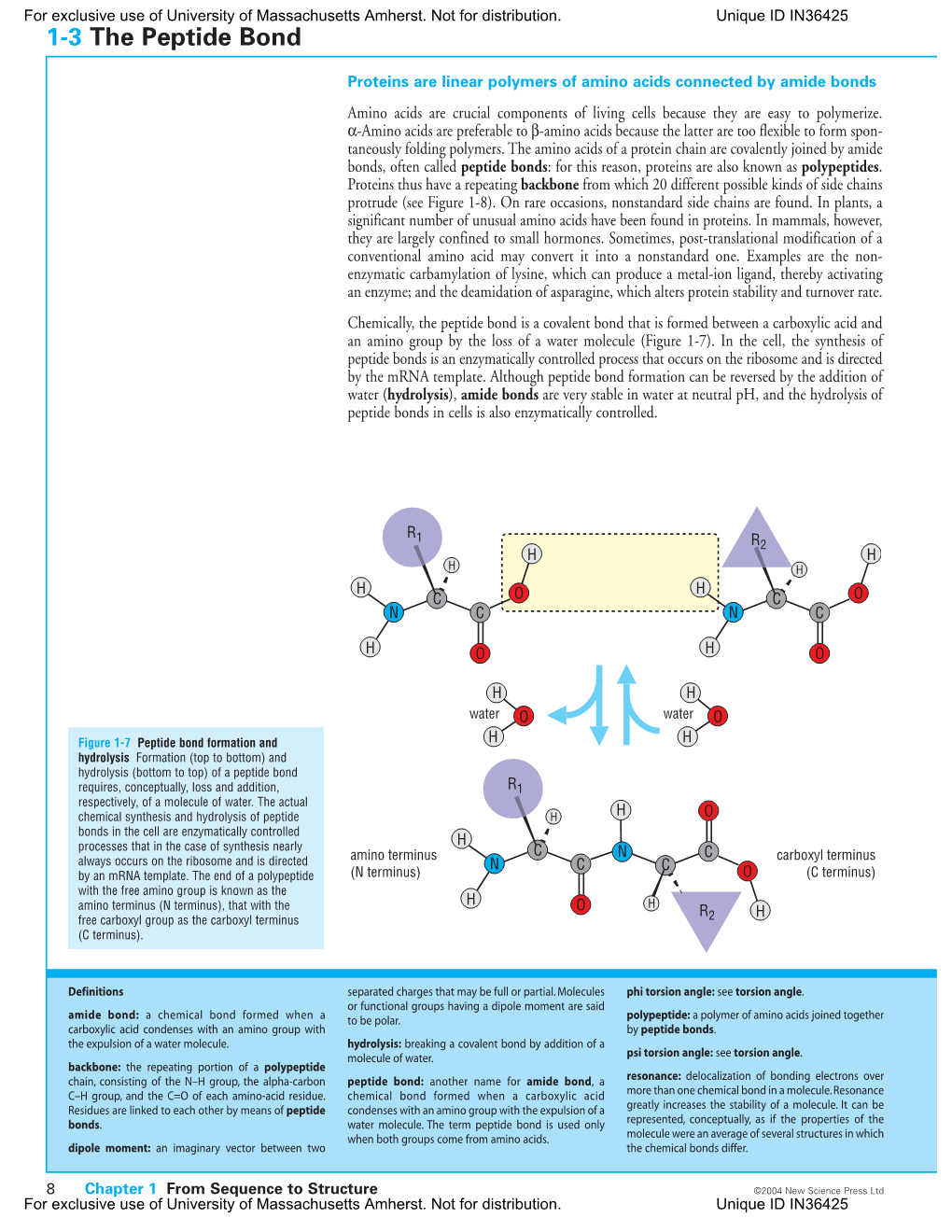 1-3 the Peptide Bond