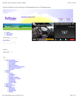 Browse 43 Different Cat Breeds | Petfinder 6/26/13 11:23 AM