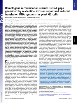 Homologous Recombination Rescues Ssdna Gaps Generated by Nucleotide Excision Repair and Reduced Translesion DNA Synthesis In