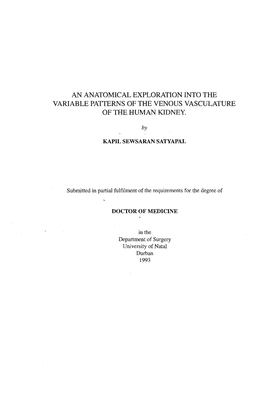 An Anatomical Exploration Into the Variable Patterns of the Venous Vasculature of the Human Kidney