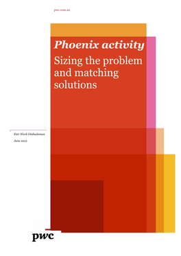 Phoenix Activity: Sizing the Problem and Matching Solutions