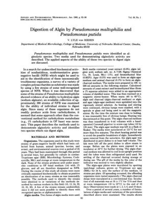 Digestion of Algin by Pseudomonas Maltophilia and Pseudomonas Putida V