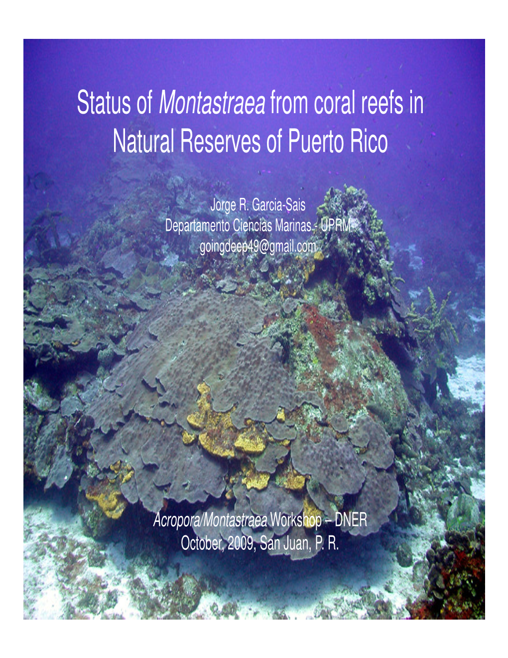 Status of Montastraea from Coral Reefs in Natural Reserves of Puerto Rico