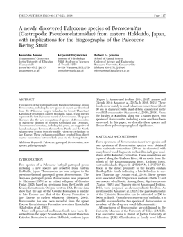 A Newly Discovered Paleocene Species of Boreocomitas