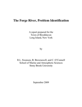 Forge River, Problem Identification