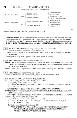 71 Bay Filly Foaled Feb. 20, 2004 Consigned by Mena Kyodo Traning Center Riverman (USA)