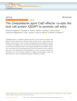 The Campylobacter Jejuni Ciad Effector Co-Opts the Host Cell Protein IQGAP1 to Promote Cell Entry